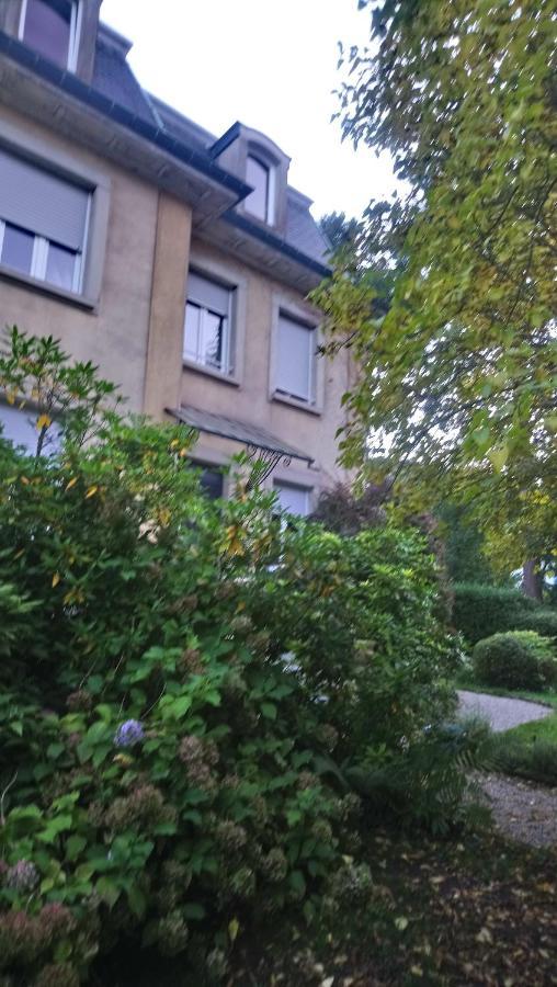 La Romantique Sainte-Marie-aux-Mines Exterior foto